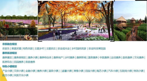 遂宁本土旅游景区规划设计公司与旅游开发项目策划咨询全解析